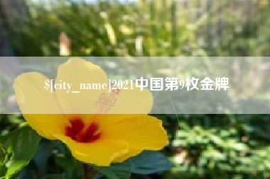 嘉鱼2021中国第9枚金牌