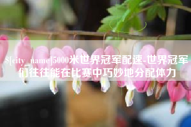 嘉鱼5000米世界冠军配速-世界冠军们往往能在比赛中巧妙地分配体力