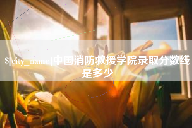 嘉鱼中国消防救援学院录取分数线是多少