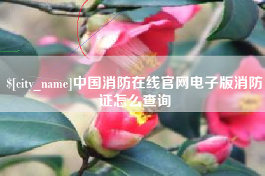 嘉鱼中国消防在线官网电子版消防证怎么查询
