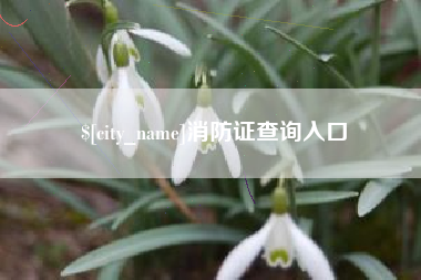嘉鱼消防证查询入口