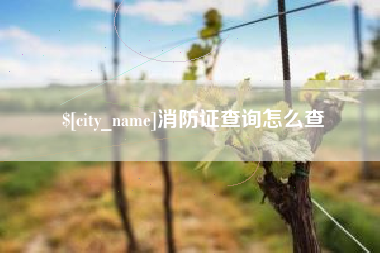 嘉鱼消防证查询怎么查