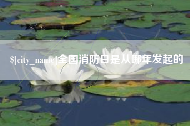 嘉鱼全国消防日是从哪年发起的