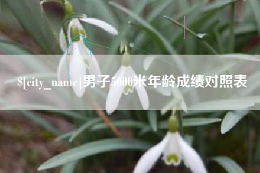 嘉鱼男子5000米年龄成绩对照表