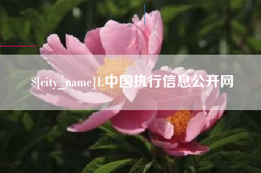 嘉鱼1.中国执行信息公开网