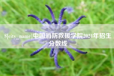 嘉鱼中国消防救援学院2024年招生分数线