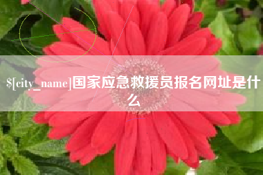 嘉鱼国家应急救援员报名网址是什么