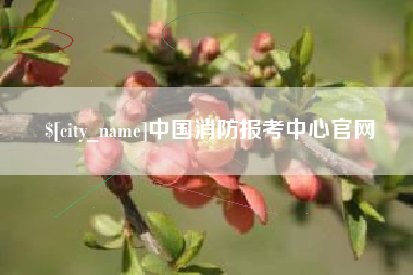 嘉鱼中国消防报考中心官网