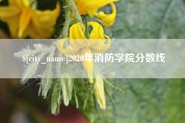 嘉鱼2020年消防学院分数线