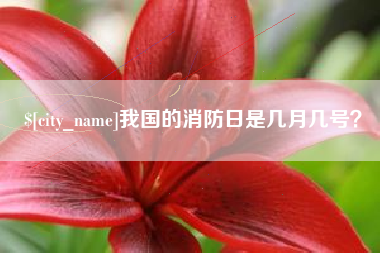嘉鱼我国的消防日是几月几号？