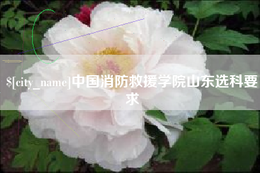 嘉鱼中国消防救援学院山东选科要求