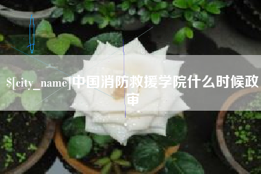 嘉鱼中国消防救援学院什么时候政审