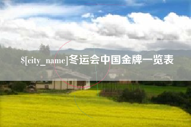 嘉鱼冬运会中国金牌一览表