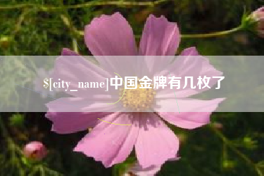 嘉鱼中国金牌有几枚了
