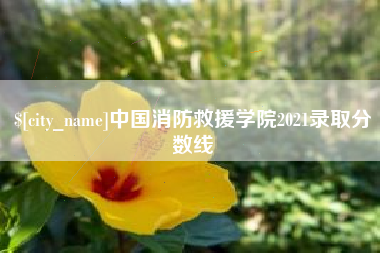 嘉鱼中国消防救援学院2021录取分数线