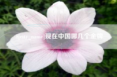 嘉鱼现在中国哪几个金牌