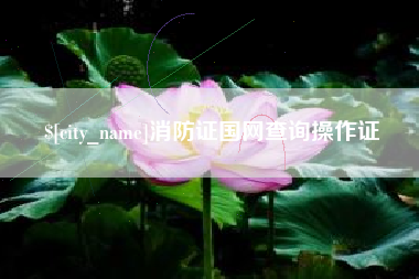 嘉鱼消防证国网查询操作证