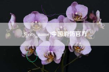 嘉鱼中国消防官方