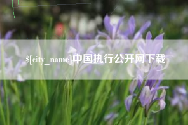 嘉鱼中国执行公开网下载