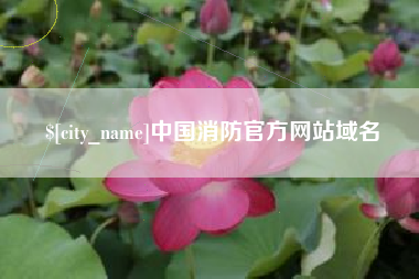 嘉鱼中国消防官方网站域名