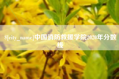 嘉鱼中国消防救援学院2020年分数线