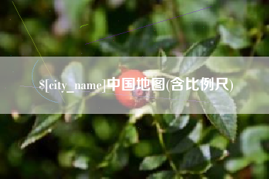 嘉鱼中国地图(含比例尺)