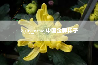 嘉鱼中国金牌样子