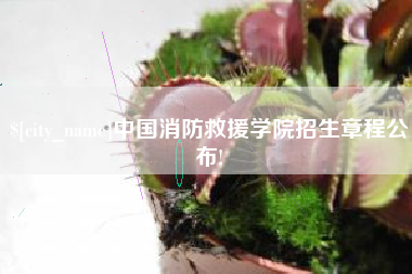 嘉鱼中国消防救援学院招生章程公布!