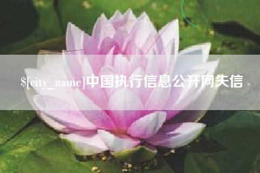 嘉鱼中国执行信息公开网失信