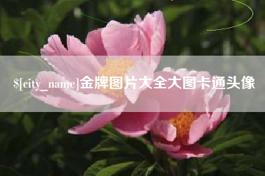 嘉鱼金牌图片大全大图卡通头像