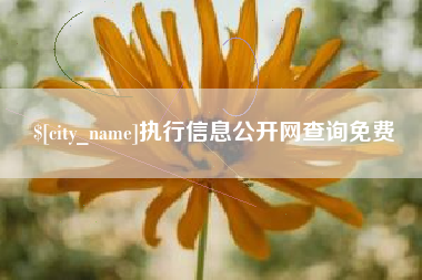 嘉鱼执行信息公开网查询免费