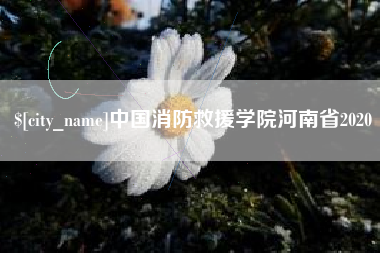 嘉鱼中国消防救援学院河南省2020